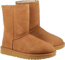 Ugg Boots Womens Classic Short II Chestnut