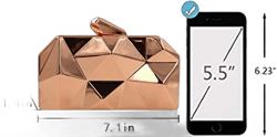 Buddy Women Lattice Metal Clutch Purse Geometric Chain Shoulder Bag Champagne
