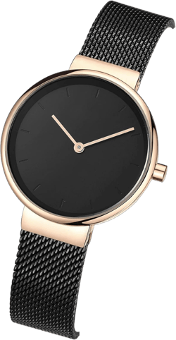 Fashion Simple Women's Quartz Watch Stainless Steel Mesh Strap Business Wrist Watch Black