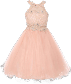 BluNight Collection Dazzling Halter Neck Lace Tulle Pageant Easter Graduation Flower Girl Dress 4-20 14 Blush